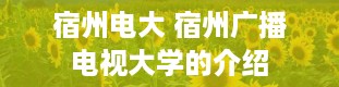 宿州电大 宿州广播电视大学的介绍