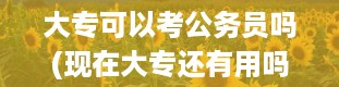 大专可以考公务员吗(现在大专还有用吗)