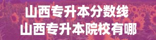 山西专升本分数线 山西专升本院校有哪些