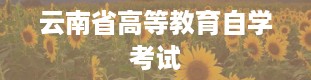 云南省高等教育自学考试