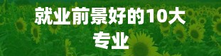 就业前景好的10大专业