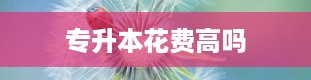 专升本花费高吗