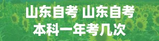 山东自考 山东自考本科一年考几次