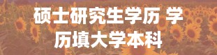 硕士研究生学历 学历填大学本科