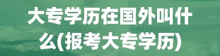 大专学历在国外叫什么(报考大专学历)