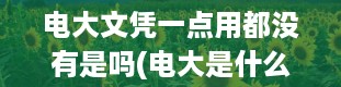 电大文凭一点用都没有是吗(电大是什么意思)