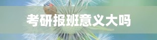 考研报班意义大吗