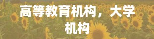 高等教育机构，大学机构