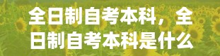 全日制自考本科，全日制自考本科是什么意思啊