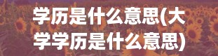 学历是什么意思(大学学历是什么意思)