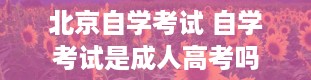 北京自学考试 自学考试是成人高考吗