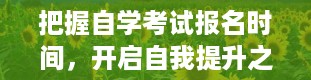 把握自学考试报名时间，开启自我提升之旅（高等教育自学考试报名时间）