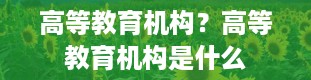 高等教育机构？高等教育机构是什么