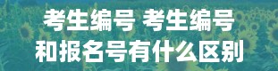 考生编号 考生编号和报名号有什么区别