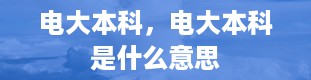 电大本科，电大本科是什么意思