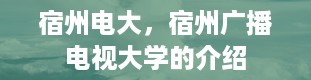 宿州电大，宿州广播电视大学的介绍