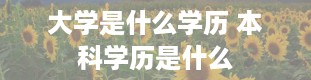 大学是什么学历 本科学历是什么