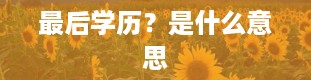 最后学历？是什么意思