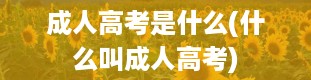 成人高考是什么(什么叫成人高考)