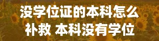 没学位证的本科怎么补救 本科没有学位证怎么补救