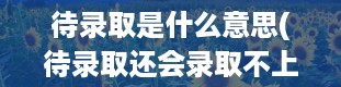 待录取是什么意思(待录取还会录取不上么)