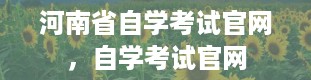 河南省自学考试官网，自学考试官网