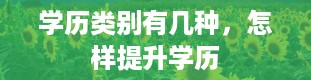 学历类别有几种，怎样提升学历