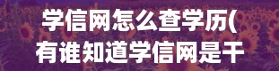 学信网怎么查学历(有谁知道学信网是干什么的)