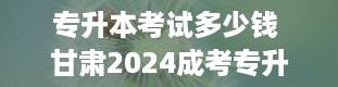 专升本考试多少钱 甘肃2024成考专升本报名费用和考试费是多少钱