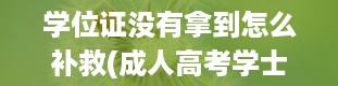 学位证没有拿到怎么补救(成人高考学士学位证怎么获得)