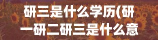 研三是什么学历(研一研二研三是什么意思)