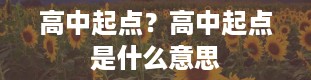 高中起点？高中起点是什么意思