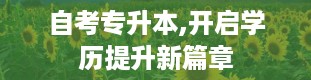 自考专升本,开启学历提升新篇章