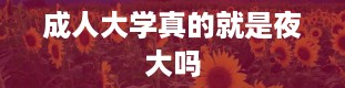 成人大学真的就是夜大吗