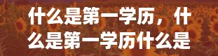 什么是第一学历，什么是第一学历什么是第一学历