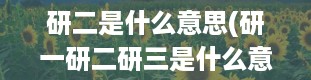 研二是什么意思(研一研二研三是什么意思)