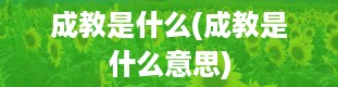 成教是什么(成教是什么意思)