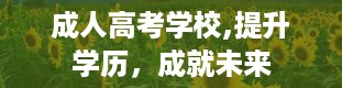 成人高考学校,提升学历，成就未来