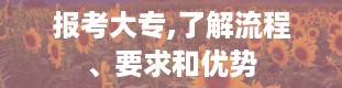 报考大专,了解流程、要求和优势