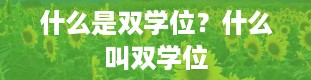 什么是双学位？什么叫双学位