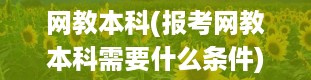 网教本科(报考网教本科需要什么条件)