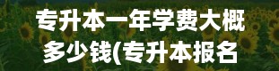 专升本一年学费大概多少钱(专升本报名费多少钱2023)