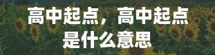 高中起点，高中起点是什么意思