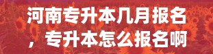 河南专升本几月报名，专升本怎么报名啊是自己报还是在学校报