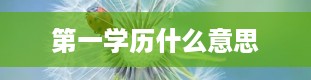 第一学历什么意思