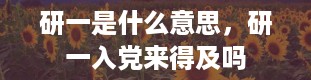 研一是什么意思，研一入党来得及吗