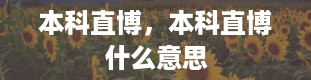 本科直博，本科直博什么意思