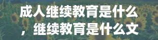 成人继续教育是什么，继续教育是什么文凭