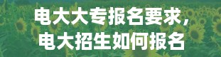 电大大专报名要求，电大招生如何报名