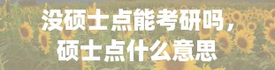 没硕士点能考研吗，硕士点什么意思